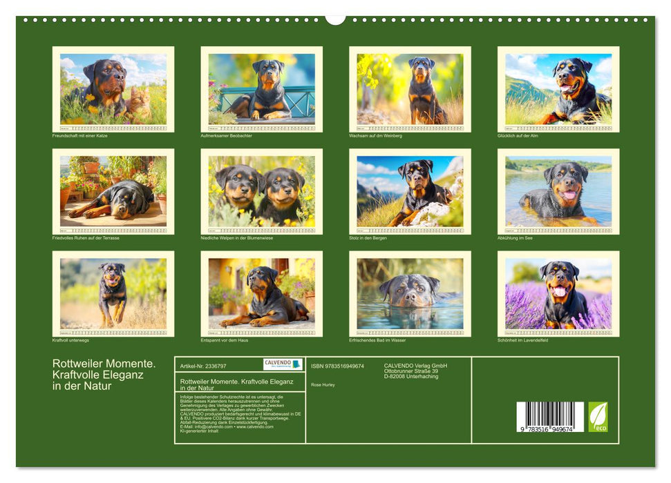 Rottweiler Momente. Kraftvolle Eleganz in der Natur (CALVENDO Premium Wandkalender 2027)