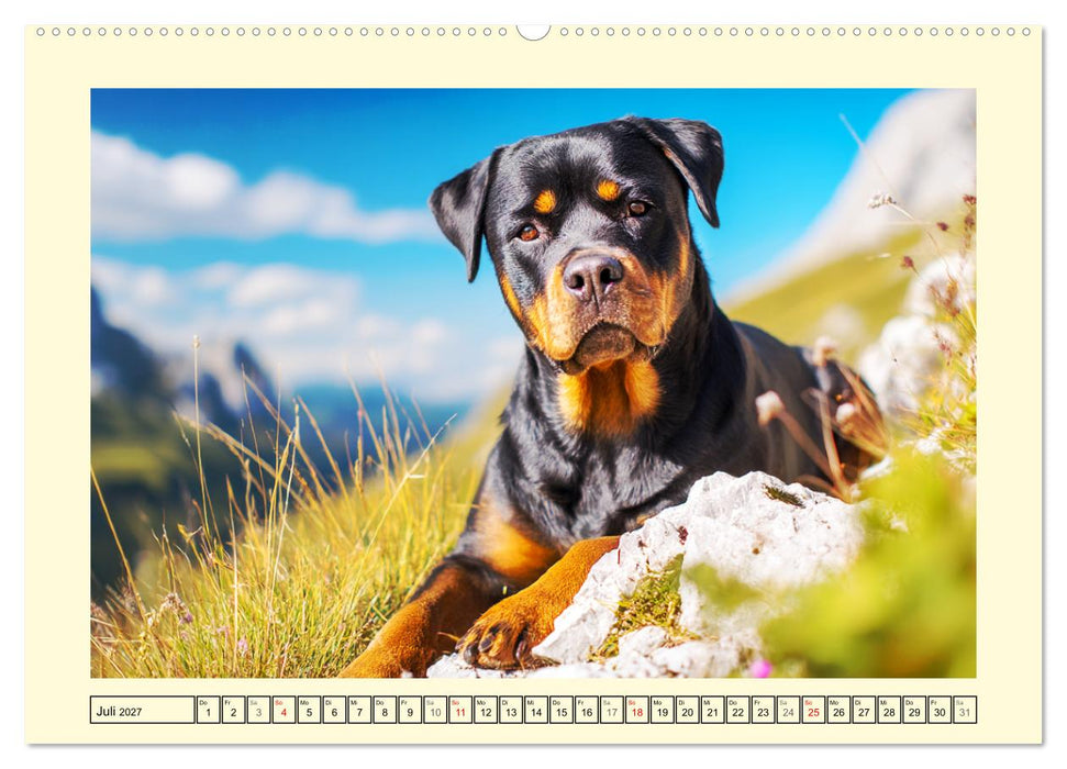 Rottweiler Momente. Kraftvolle Eleganz in der Natur (CALVENDO Premium Wandkalender 2027)