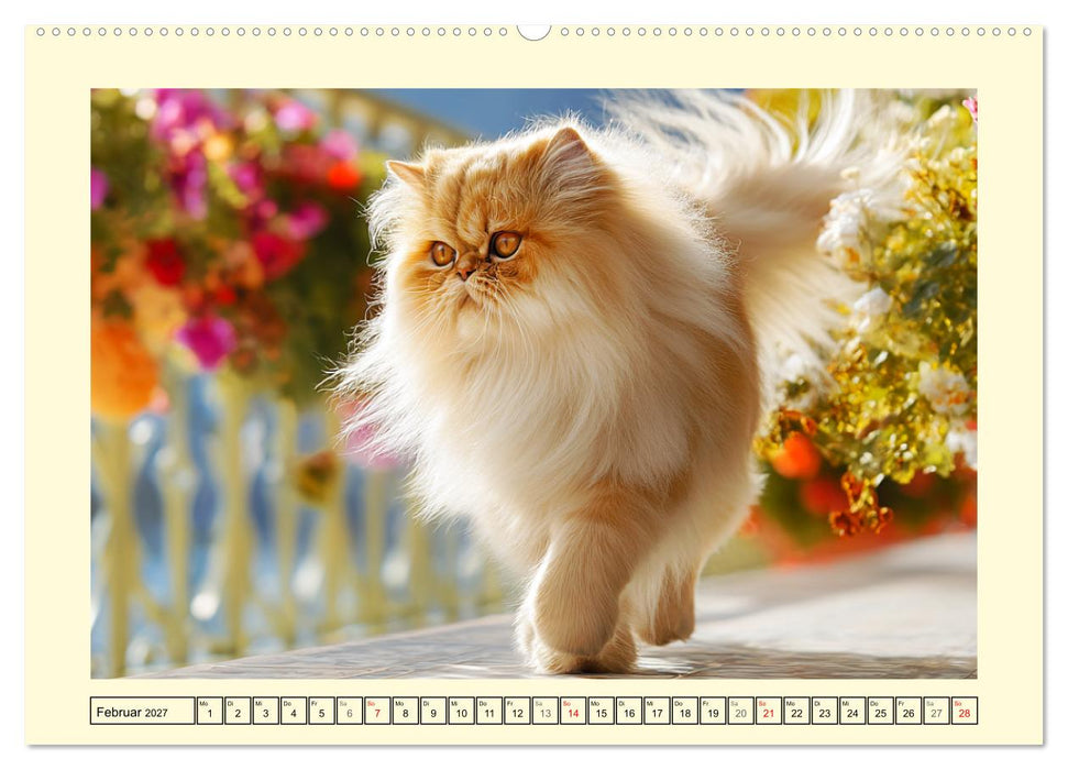 Schöne Katzen. Beliebte Samtpfoten im Garten (CALVENDO Wandkalender 2027)