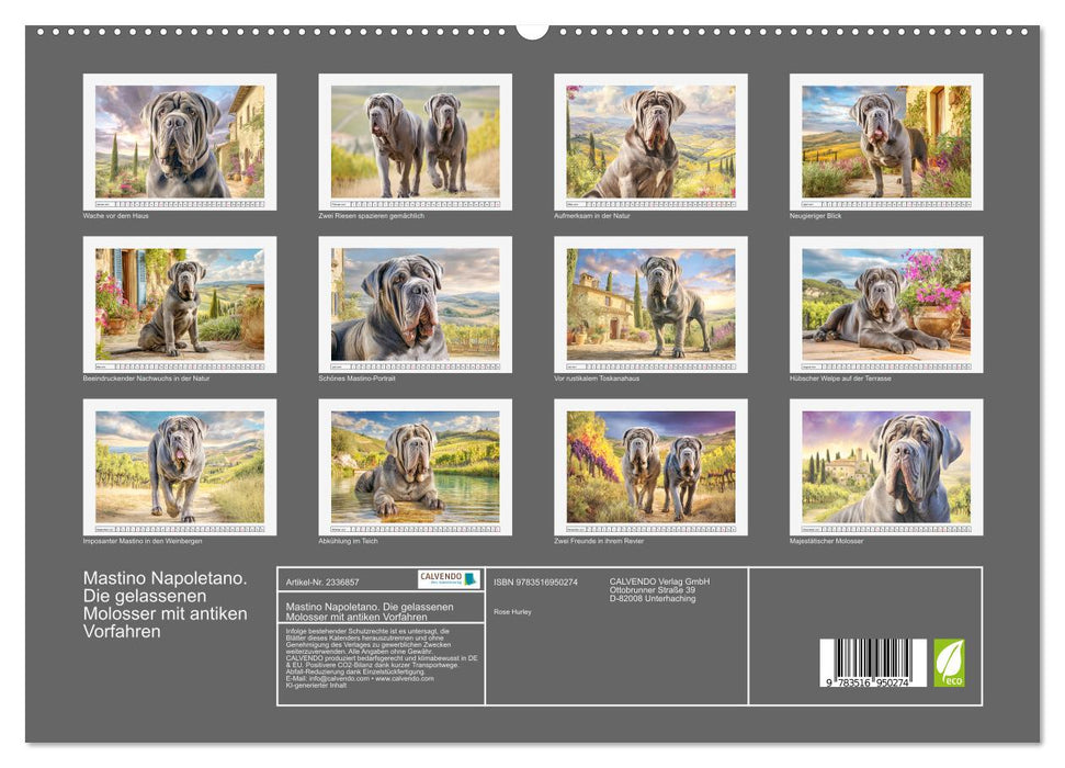 Mastino Napoletano. Die gelassenen Molosser mit antiken Vorfahren (CALVENDO Premium Wandkalender 2027)