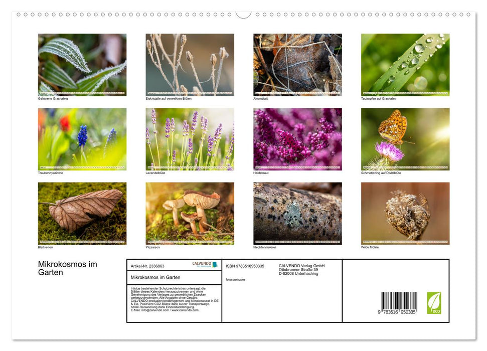 Mikrokosmos im Garten (CALVENDO Premium Wandkalender 2027)