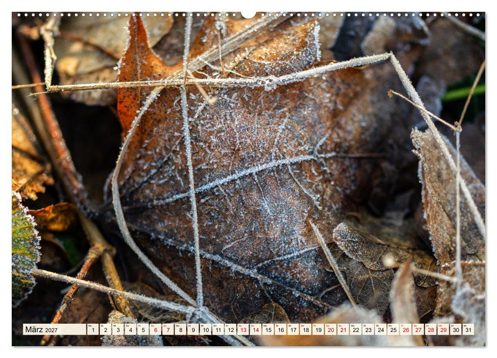 Mikrokosmos im Garten (CALVENDO Premium Wandkalender 2027)