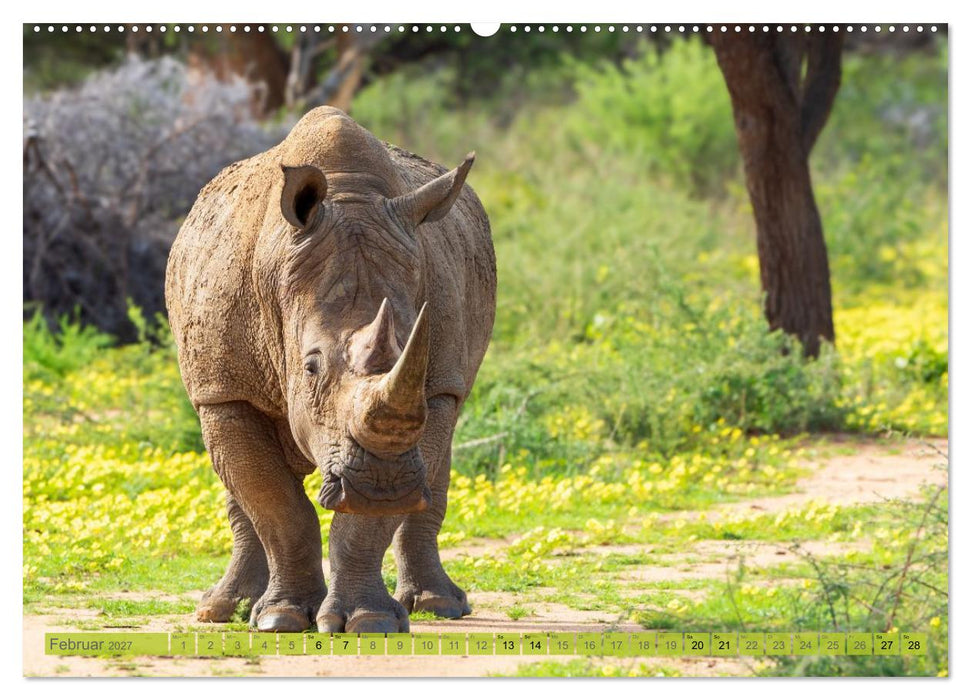 Das südliche Afrika 2027 (CALVENDO Wandkalender 2027)