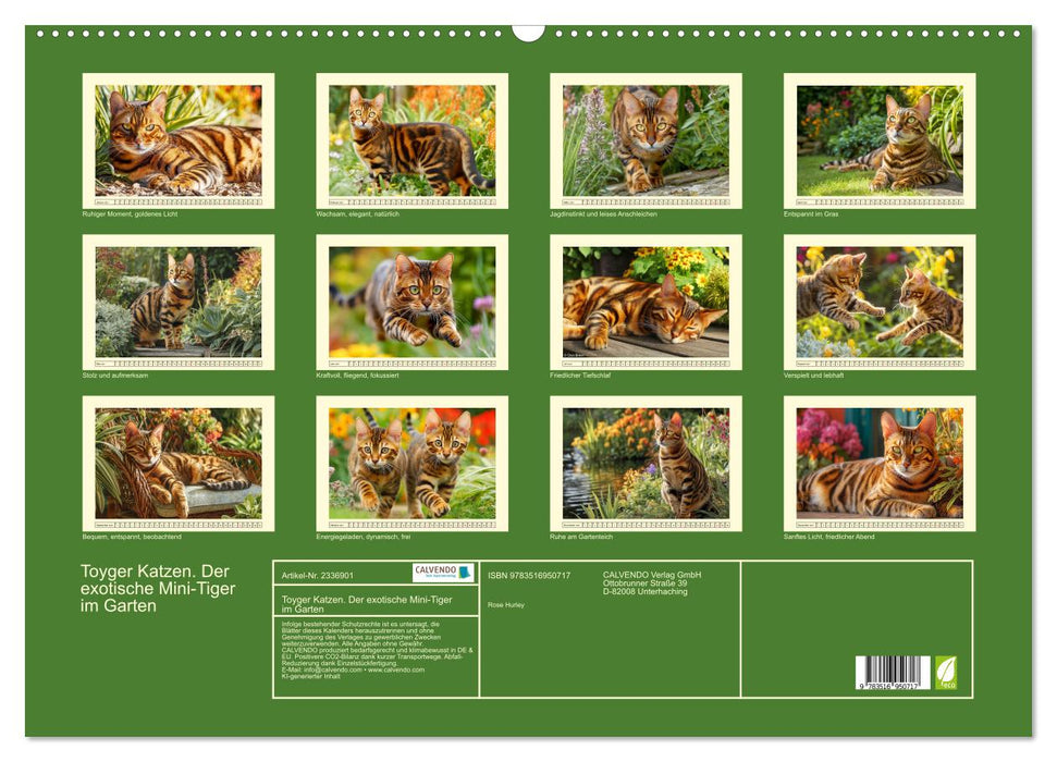 Toyger Katzen. Der exotische Mini-Tiger im Garten (CALVENDO Wandkalender 2027)