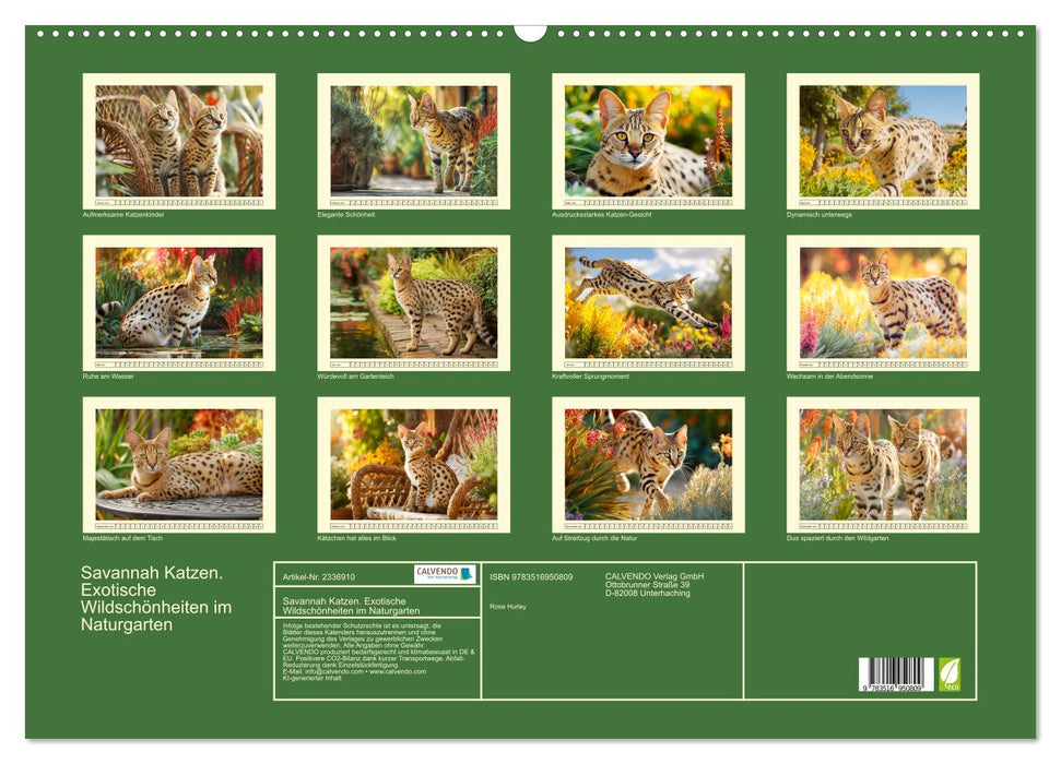 Savannah Katzen. Exotische Wildschönheiten im Naturgarten (CALVENDO Wandkalender 2027)