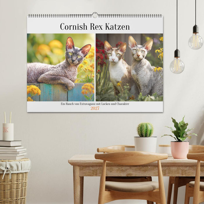 Cornish Rex Katzen. Ein Hauch von Extravaganz mit Locken und Charakter (CALVENDO Wandkalender 2027)