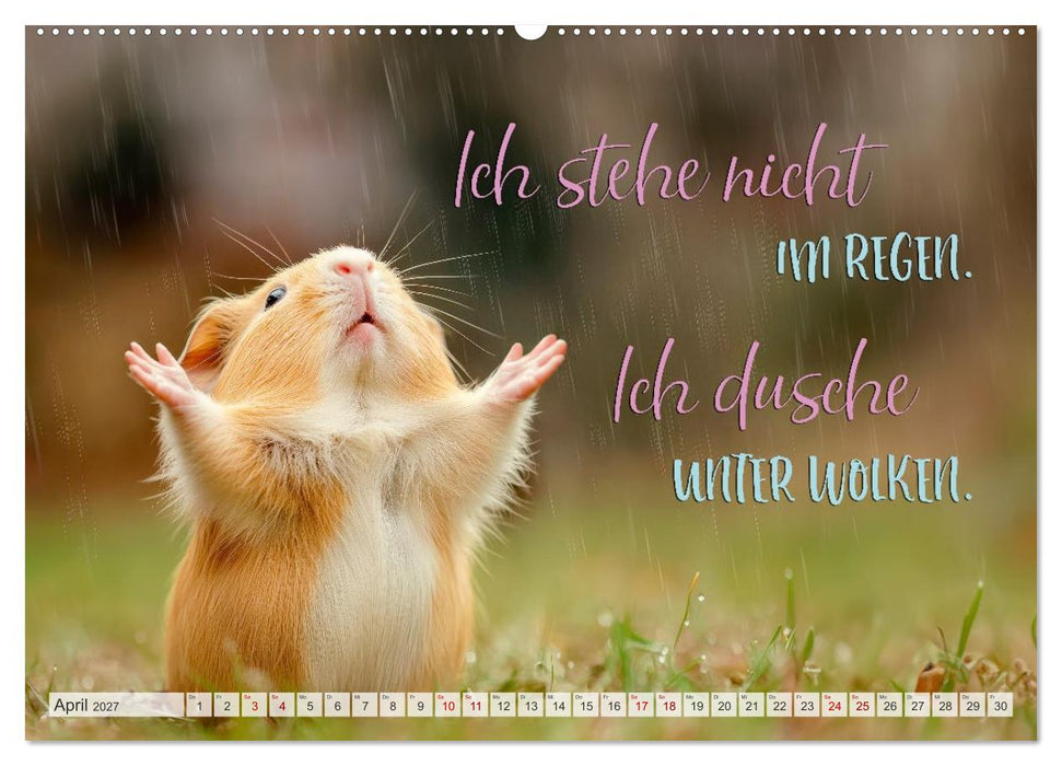 Ein tierisch gutes Jahr (CALVENDO Wandkalender 2027)