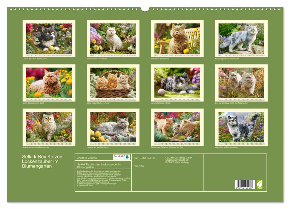 Selkirk Rex Katzen. Lockenzauber im Blumengarten (CALVENDO Wandkalender 2027)