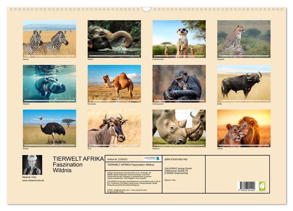 TIERWELT AFRIKA Faszination Wildnis (CALVENDO Wandkalender 2027)