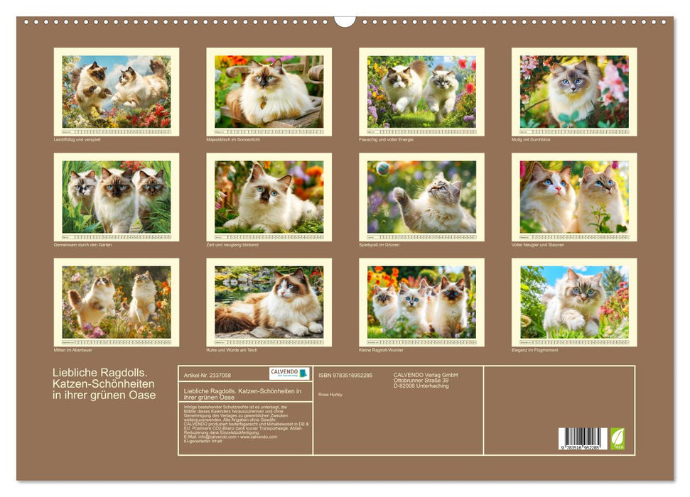 Liebliche Ragdolls. Katzen-Schönheiten in ihrer grünen Oase (CALVENDO Wandkalender 2027)