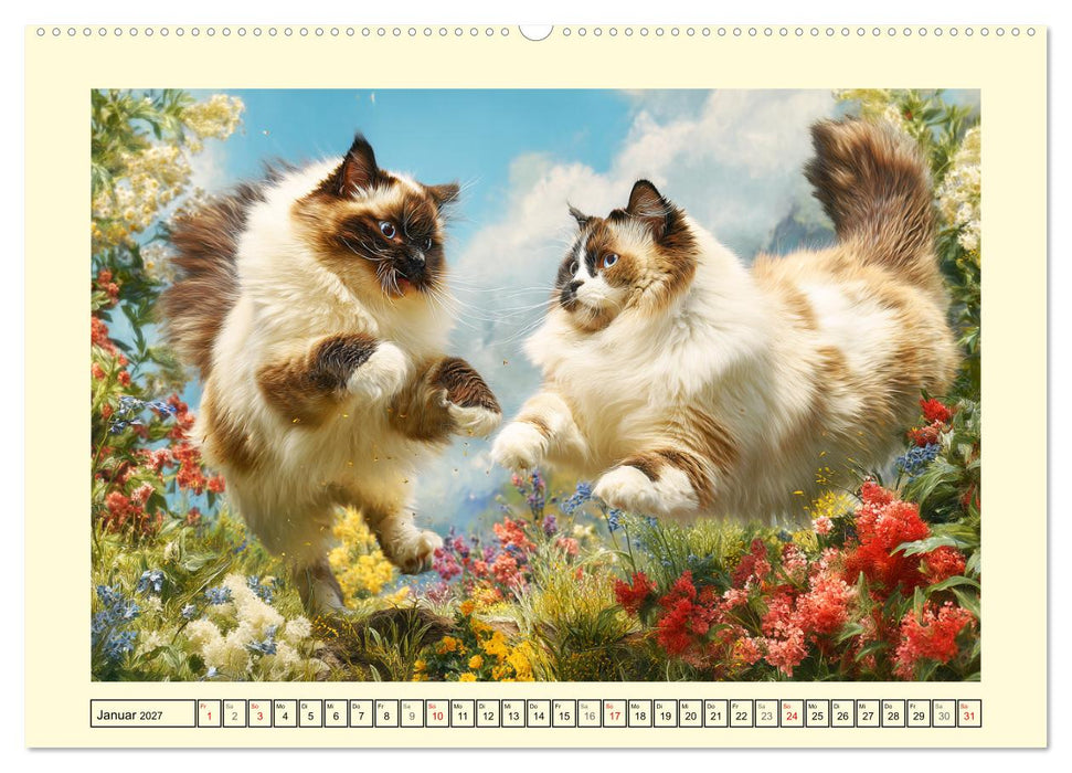 Liebliche Ragdolls. Katzen-Schönheiten in ihrer grünen Oase (CALVENDO Wandkalender 2027)