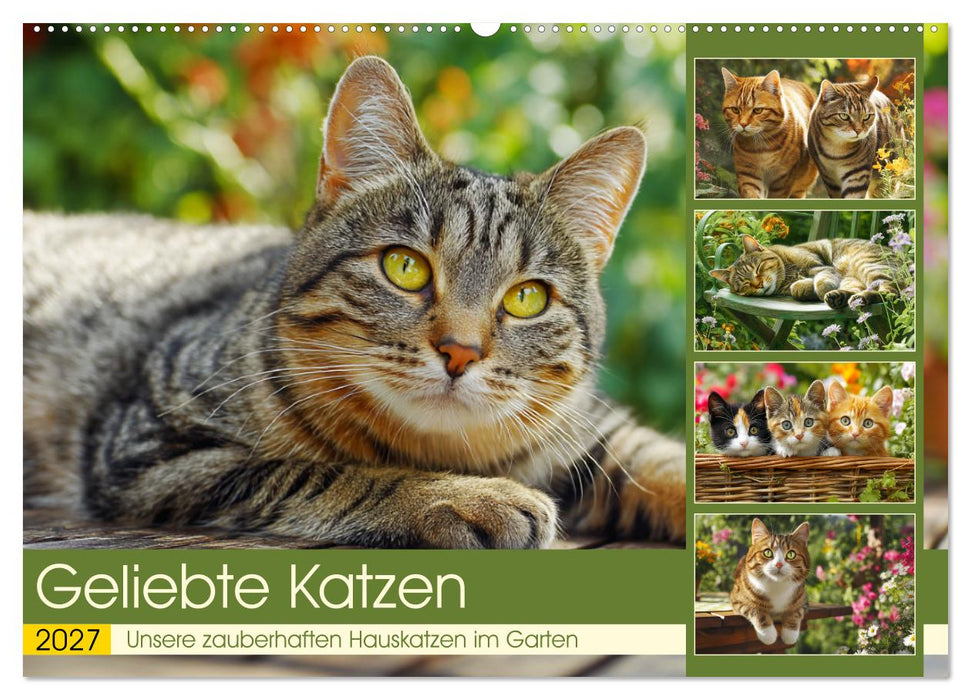 Geliebte Katzen. Unsere zauberhaften Hauskatzen im Garten (CALVENDO Wandkalender 2027)