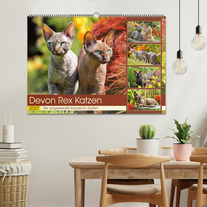 Devon Rex Katzen. Der aufgeweckte Kobold im Garten (CALVENDO Wandkalender 2027)