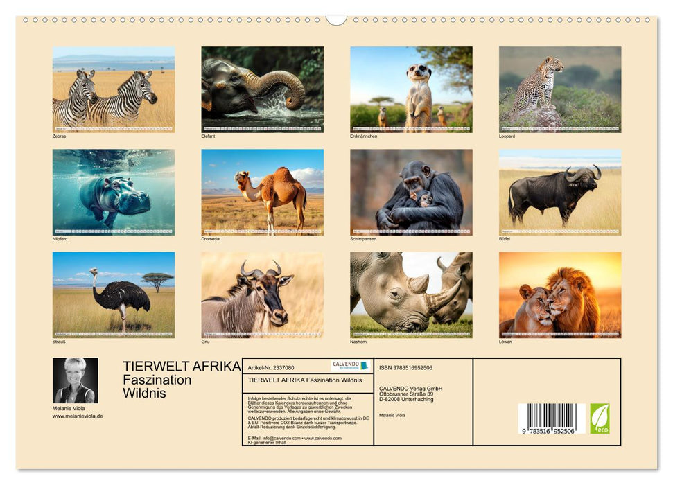 TIERWELT AFRIKA Faszination Wildnis (CALVENDO Premium Wandkalender 2027)