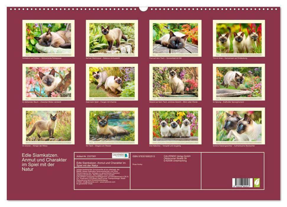 Edle Siamkatzen. Anmut und Charakter im Spiel mit der Natur (CALVENDO Wandkalender 2027)