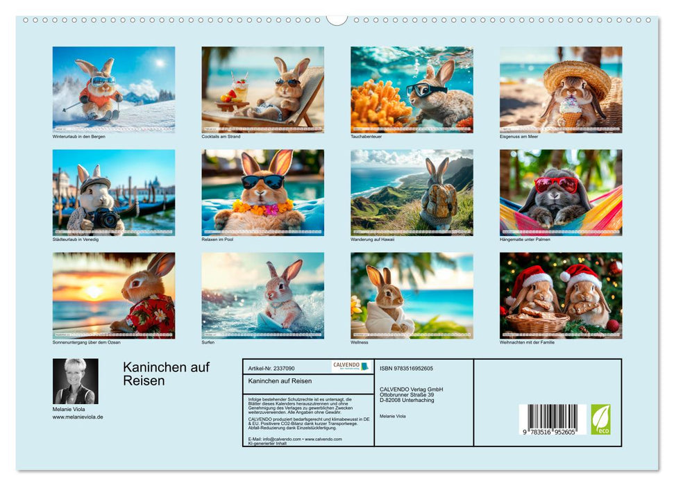 Kaninchen auf Reisen (CALVENDO Premium Wandkalender 2027)