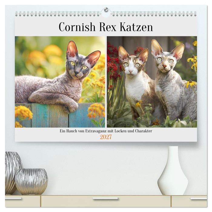Cornish Rex Katzen. Ein Hauch von Extravaganz mit Locken und Charakter (CALVENDO Premium Wandkalender 2027)