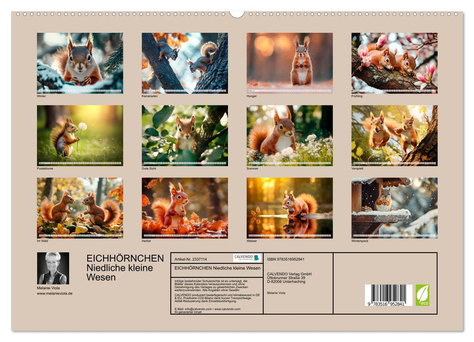 EICHHÖRNCHEN Niedliche kleine Wesen (CALVENDO Premium Wandkalender 2027)