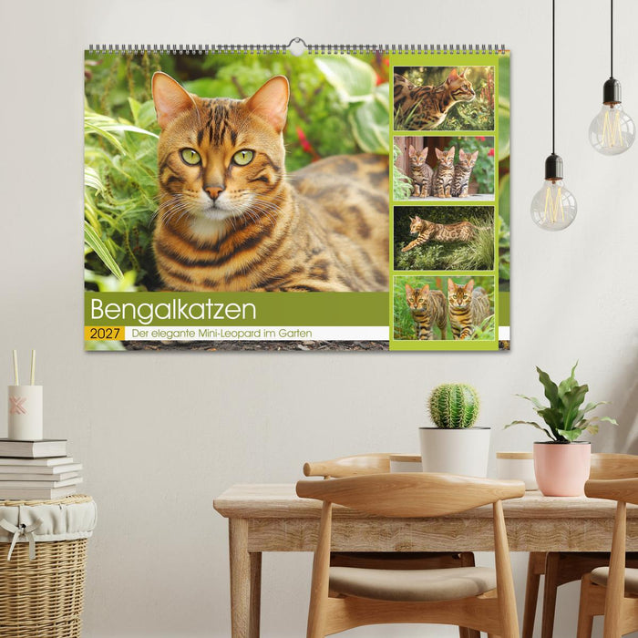 Bengalkatzen. Der elegante Mini-Leopard im Garten (CALVENDO Wandkalender 2027)