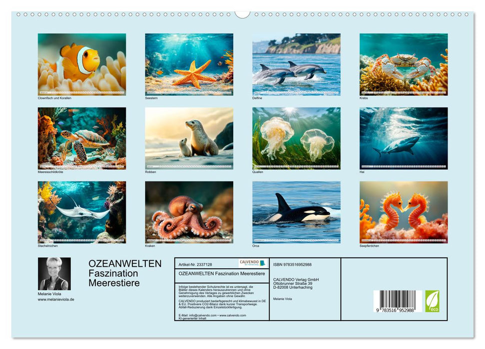 OZEANWELTEN Faszination Meerestiere (CALVENDO Premium Wandkalender 2027)