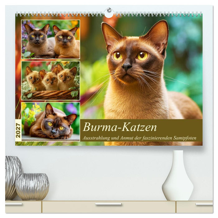 Burma-Katzen. Ausstrahlung und Anmut der faszinierenden Samtpfoten (CALVENDO Premium Wandkalender 2027)