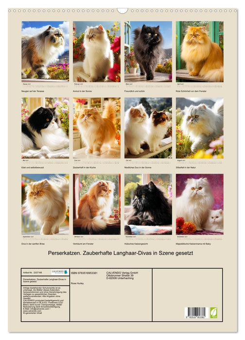 Perserkatzen. Zauberhafte Langhaar-Divas in Szene gesetzt (CALVENDO Wandkalender 2027)