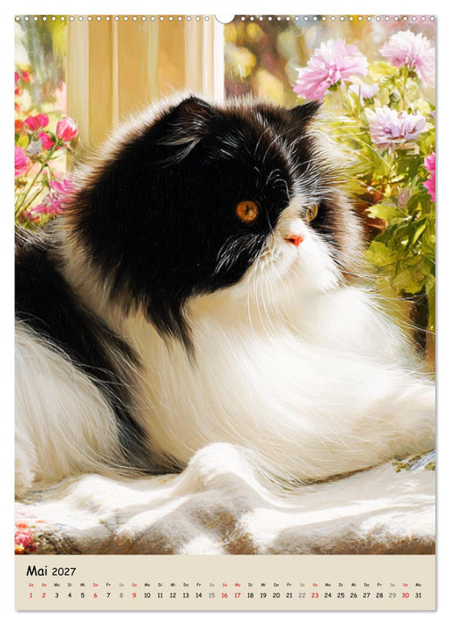 Perserkatzen. Zauberhafte Langhaar-Divas in Szene gesetzt (CALVENDO Wandkalender 2027)