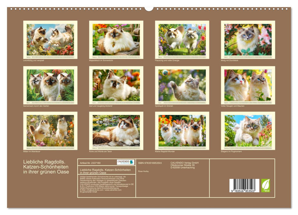 Liebliche Ragdolls. Katzen-Schönheiten in ihrer grünen Oase (CALVENDO Premium Wandkalender 2027)