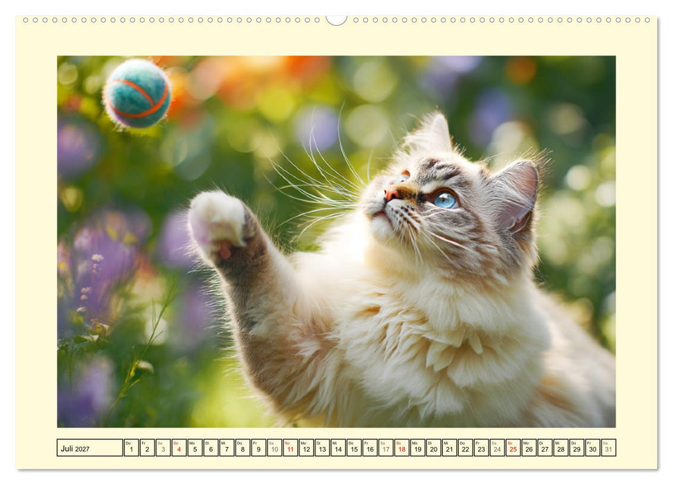 Liebliche Ragdolls. Katzen-Schönheiten in ihrer grünen Oase (CALVENDO Premium Wandkalender 2027)