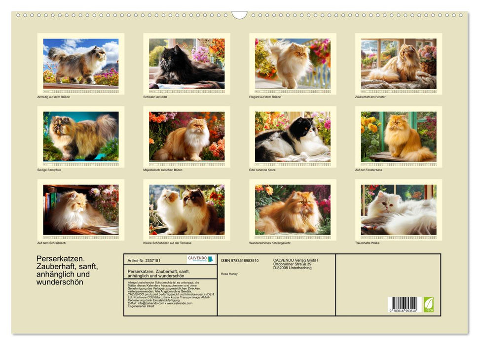 Perserkatzen. Zauberhaft, sanft, anhänglich und wunderschön (CALVENDO Wandkalender 2027)