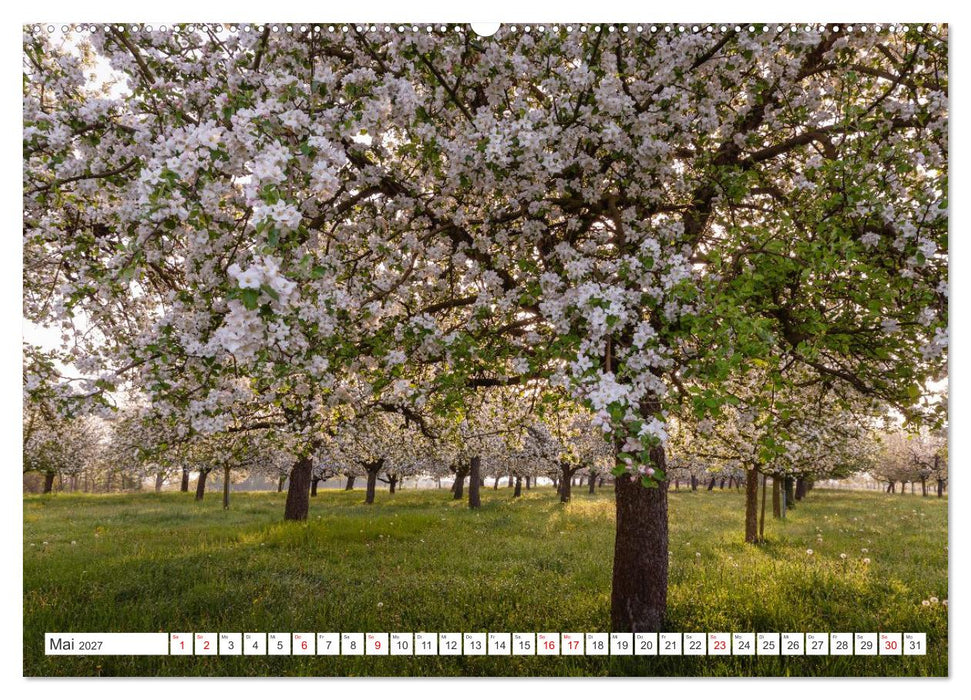 Kanton Thurgau (CALVENDO Wandkalender 2027)