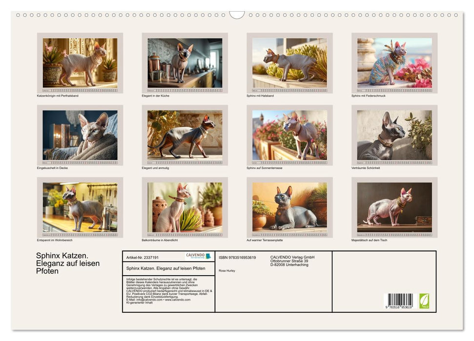 Sphinx Katzen. Eleganz auf leisen Pfoten (CALVENDO Wandkalender 2027)