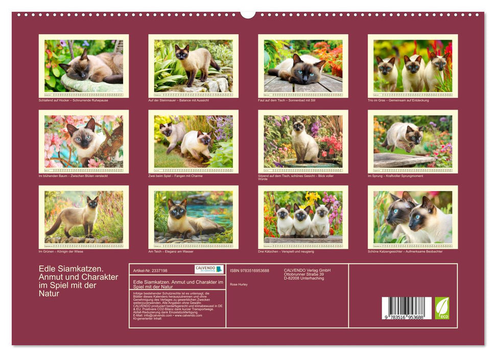 Edle Siamkatzen. Anmut und Charakter im Spiel mit der Natur (CALVENDO Premium Wandkalender 2027)