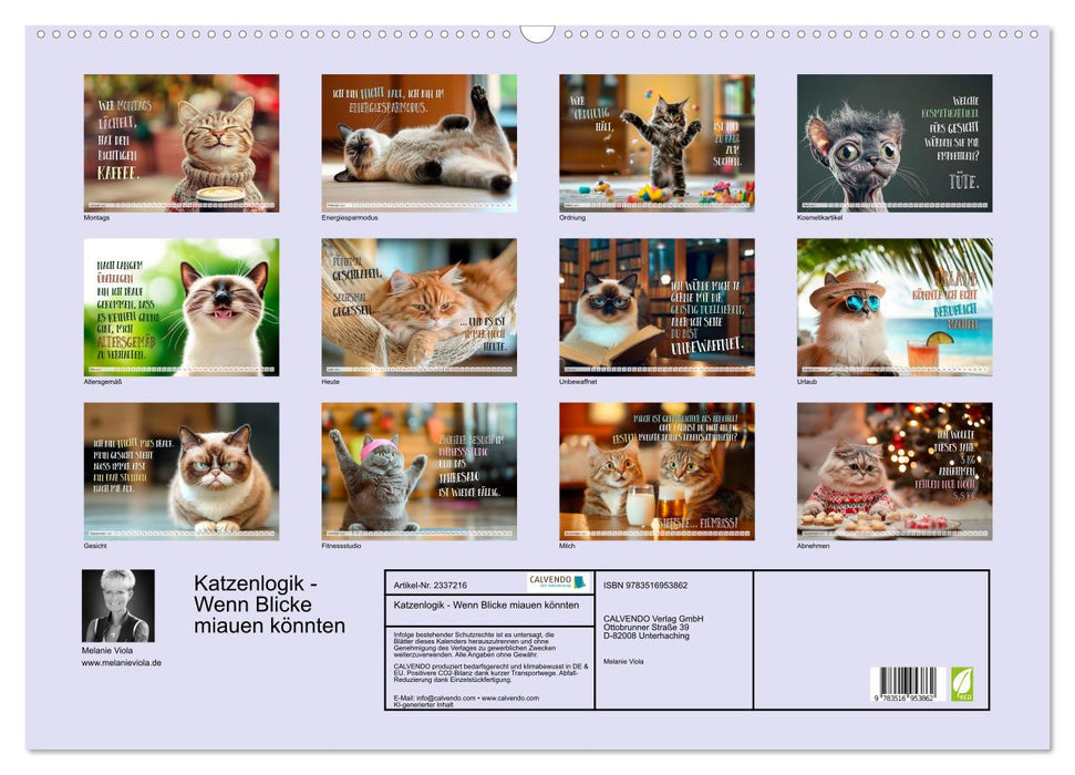 Katzenlogik - Wenn Blicke miauen könnten (CALVENDO Wandkalender 2027)