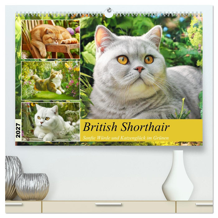 British Shorthair. Sanfte Würde und Katzenglück im Grünen (CALVENDO Premium Wandkalender 2027)