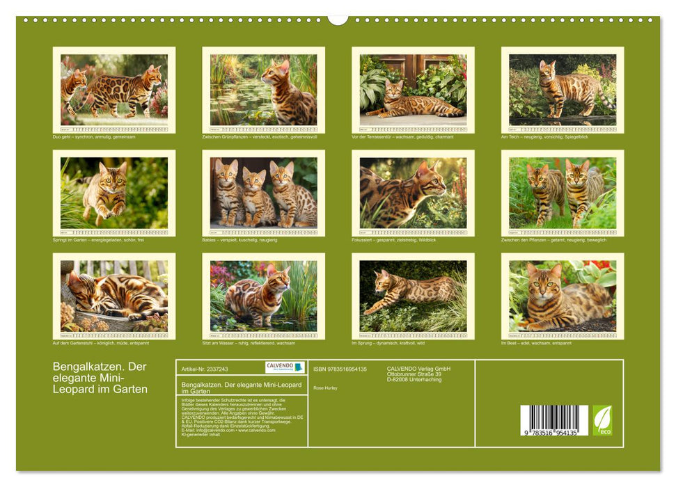 Bengalkatzen. Der elegante Mini-Leopard im Garten (CALVENDO Premium Wandkalender 2027)