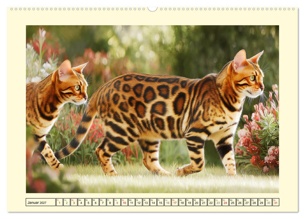 Bengalkatzen. Der elegante Mini-Leopard im Garten (CALVENDO Premium Wandkalender 2027)