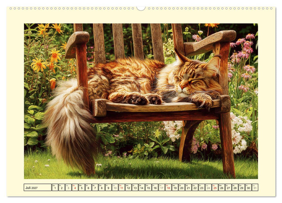 Main-Coon-Katzen. Die imposanten Waldkatzen im Garten (CALVENDO Premium Wandkalender 2027)
