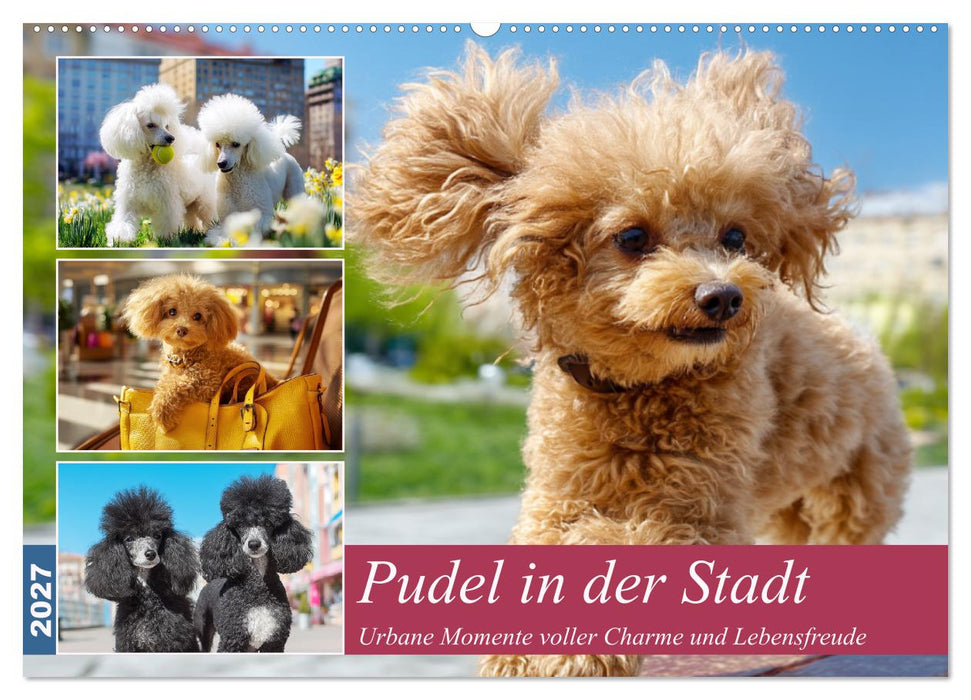 Pudel in der Stadt. Urbane Momente voller Charme und Lebensfreude (CALVENDO Wandkalender 2027)
