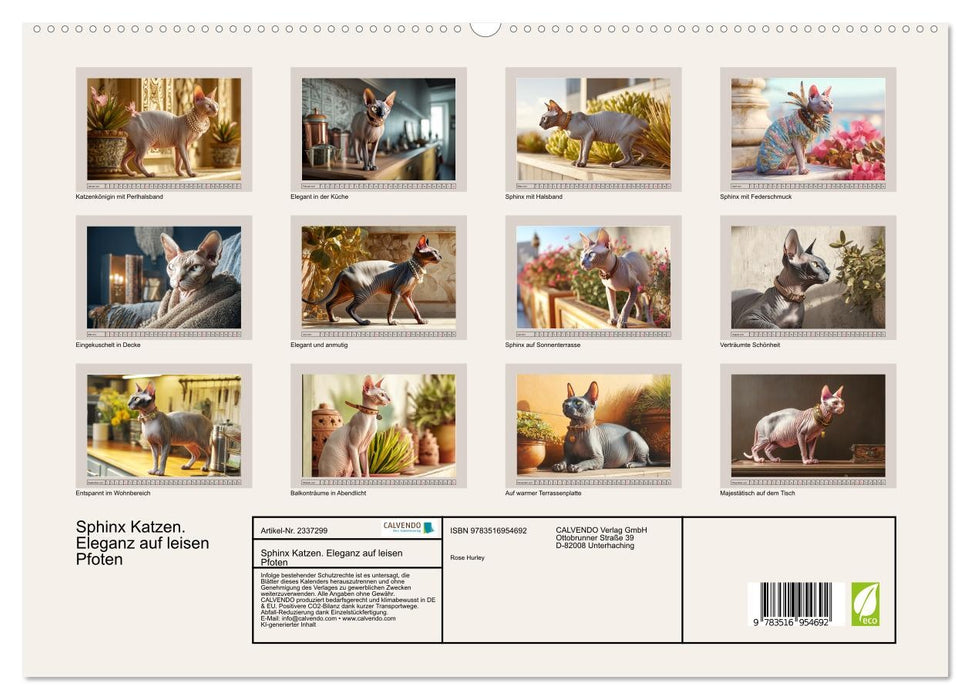 Sphinx Katzen. Eleganz auf leisen Pfoten (CALVENDO Premium Wandkalender 2027)