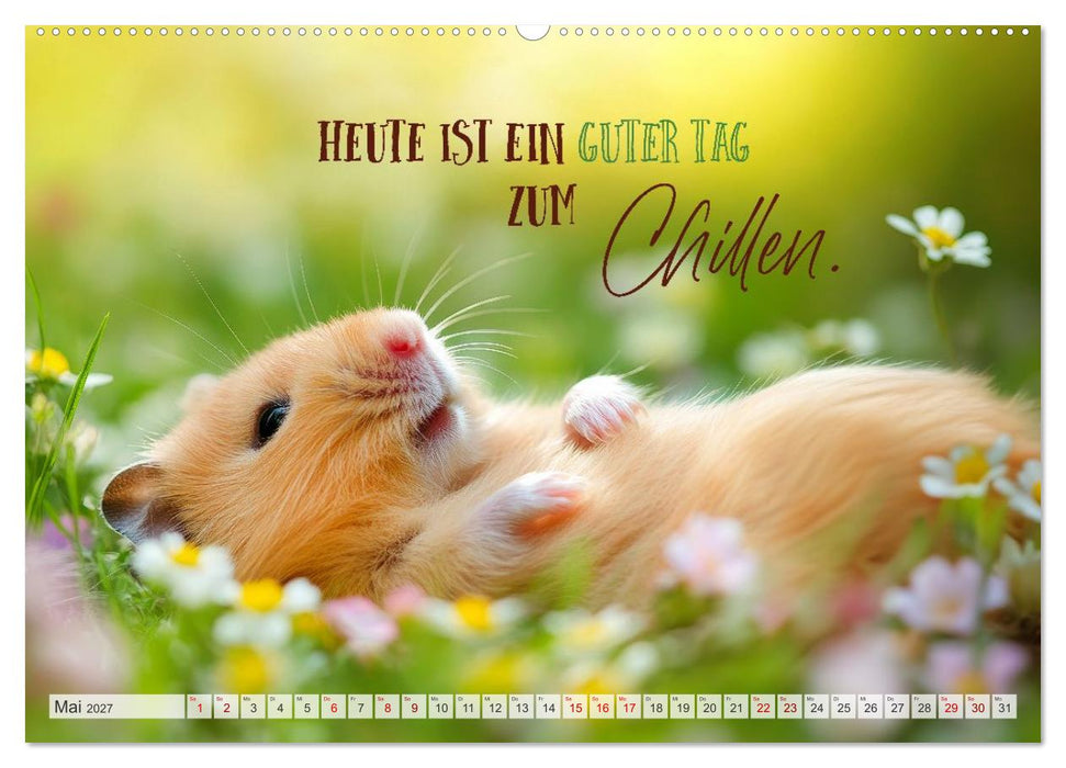 Hamsterhumor - Kleine Zuckerschnute, aber oho (CALVENDO Wandkalender 2027)