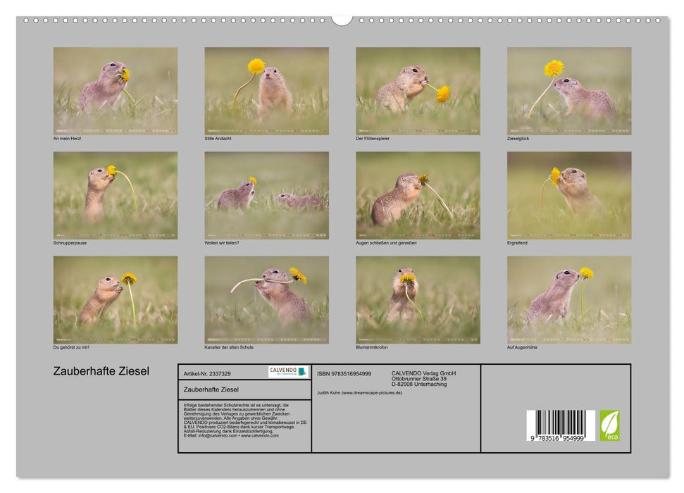 Zauberhafte Ziesel (CALVENDO Premium Wandkalender 2027)