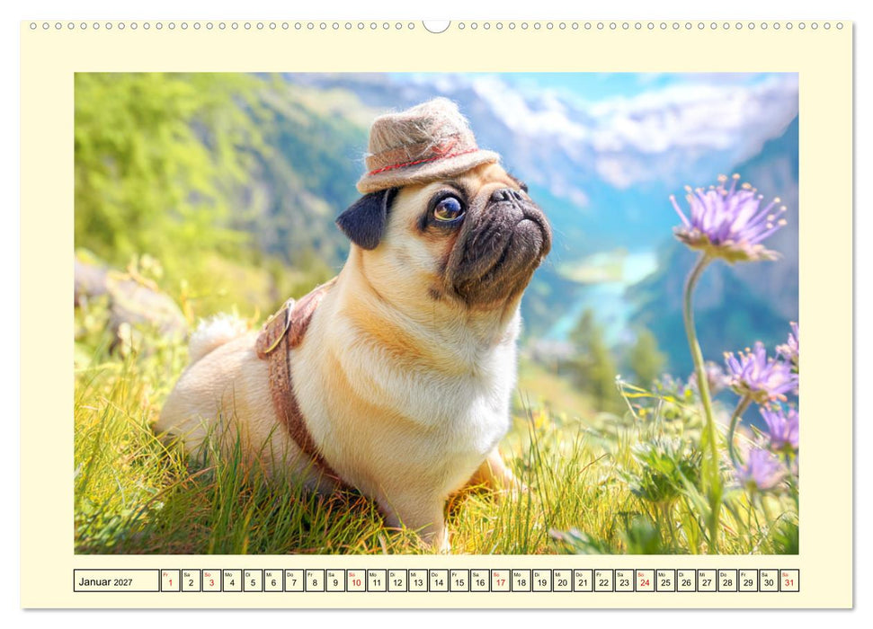 Mops trifft Berglust. Fidele Gipfelstürmer im Höhenrausch (CALVENDO Wandkalender 2027)