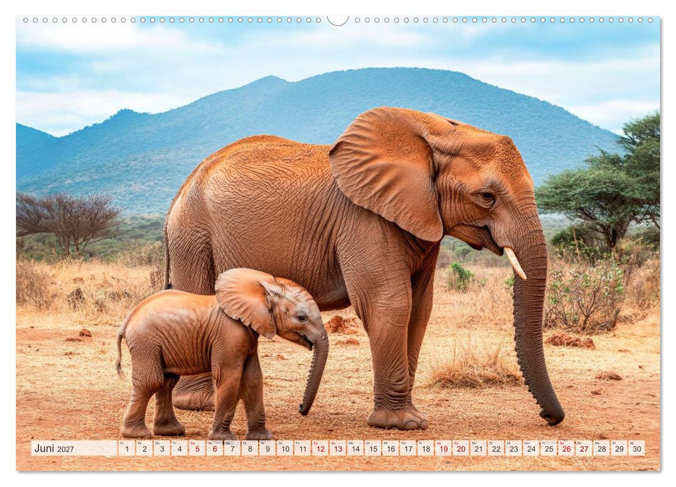 Bedrohte Tierwelt SCHATTEN DES VERSCHWINDENS (CALVENDO Premium Wandkalender 2027)