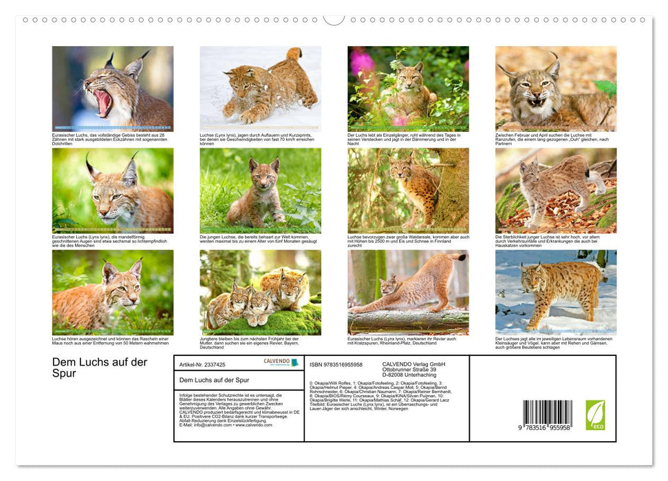 Dem Luchs auf der Spur (CALVENDO Premium Wandkalender 2027)