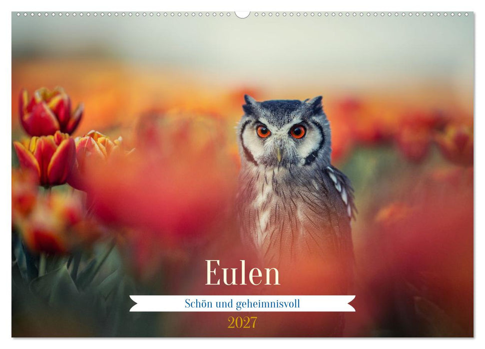 Eulen - schön und geheimnisvoll (CALVENDO Wandkalender 2027)