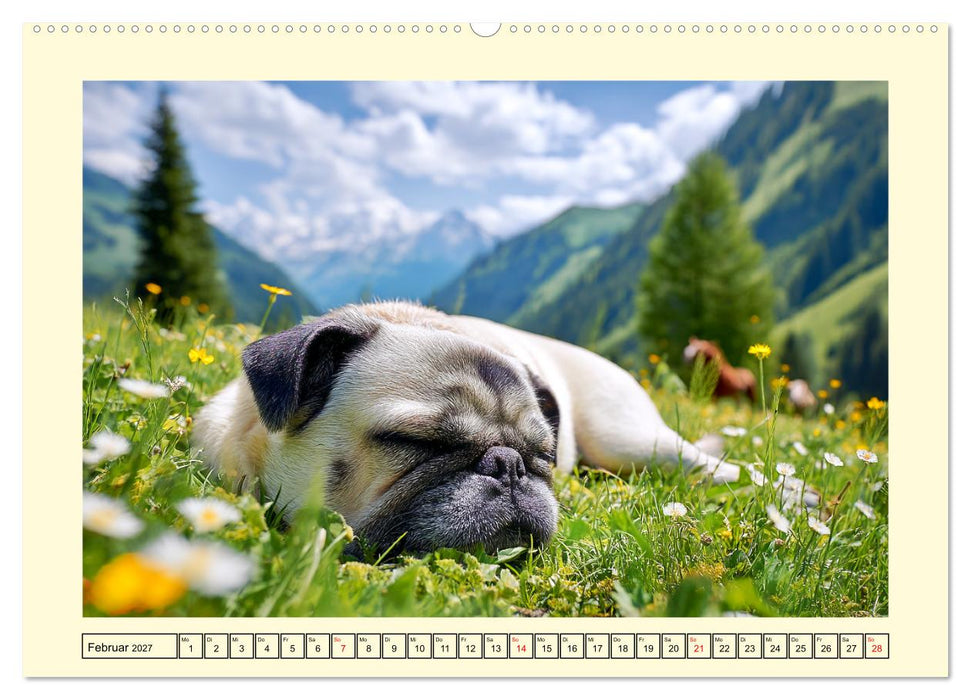 Mops trifft Berglust. Fidele Gipfelstürmer im Höhenrausch (CALVENDO Premium Wandkalender 2027)