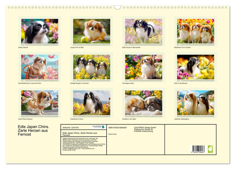 Edle Japan Chins. Zarte Herzen aus Fernost (CALVENDO Wandkalender 2027)