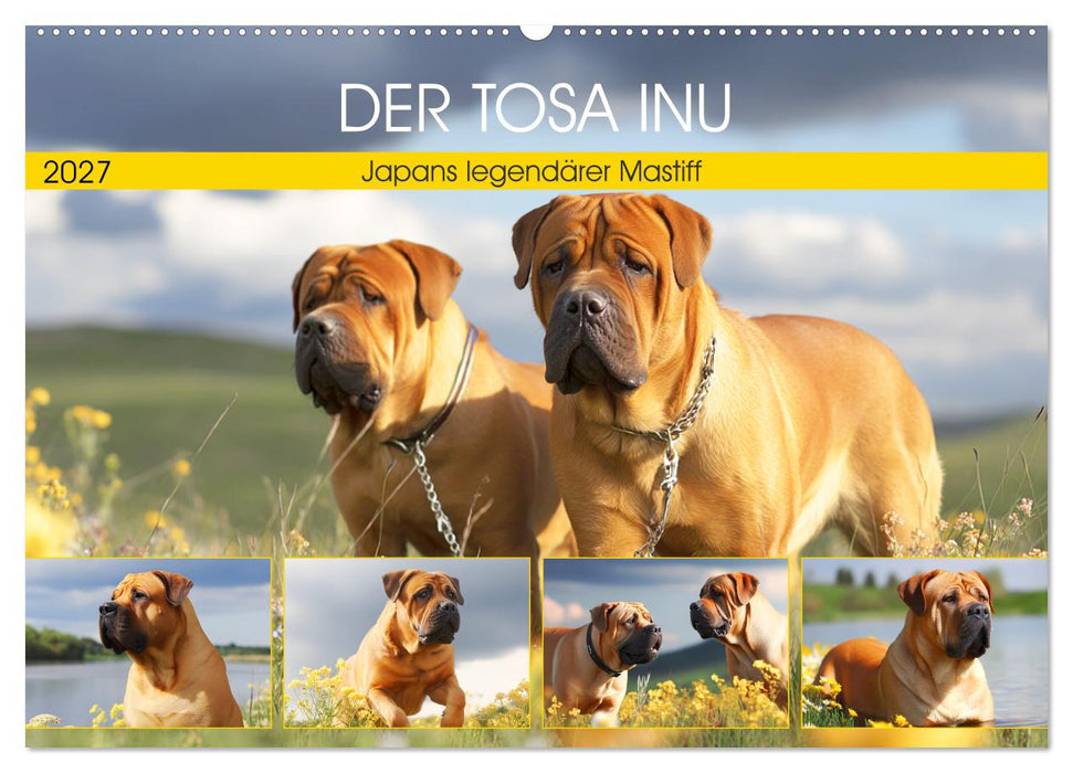 Der Tosa Inu. Japans legendärer Mastiff (CALVENDO Wandkalender 2027)