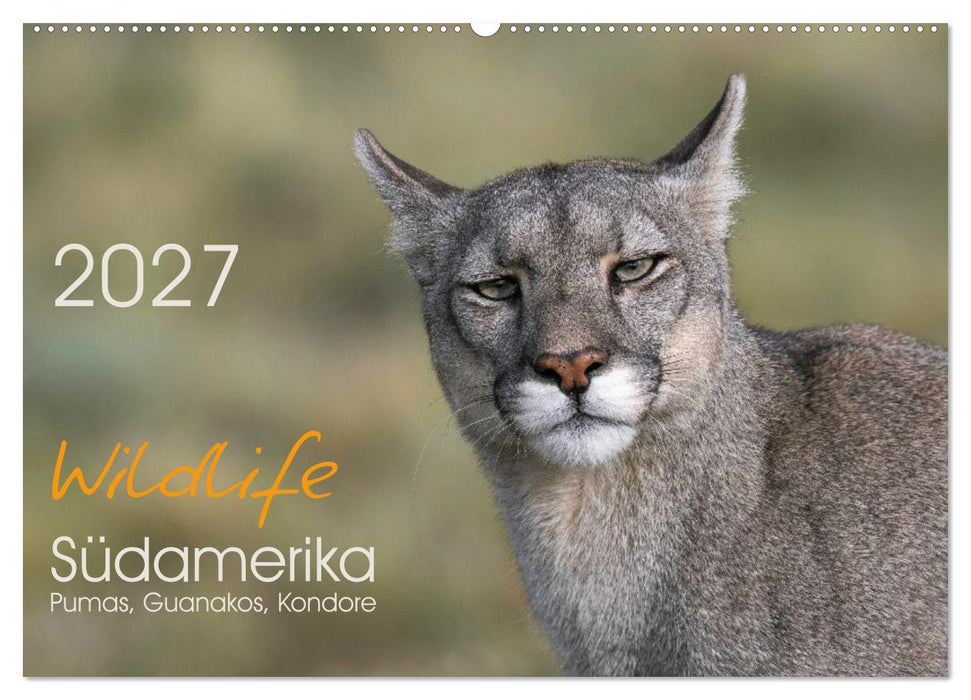 Wildlife Südamerika (CALVENDO Wandkalender 2027)